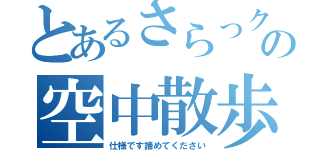 とあるさらっクマの空中散歩（仕様です諦めてください）