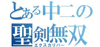 とある中二の聖剣無双（エクスカリバー）