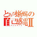 とある蜥蜴の自己感電Ⅱ（インシデント）