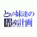 とある妹達の量産計画（ナノ・ユニバース）