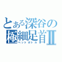 とある深谷の極細足首Ⅱ（ペットボトル）