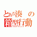 とある湊の箱型行動（プログラミング）