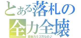 とある落札の全力全壊！（資金力５３万なの♪）