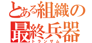 とある組織の最終兵器（トランザム）