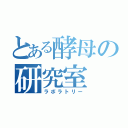 とある酵母の研究室（ラボラトリー）