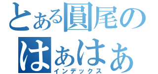 とある圓尾のはぁはぁ（インデックス）