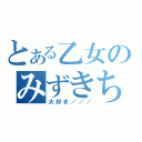 とある乙女のみずきちゃん（大好き／／／）