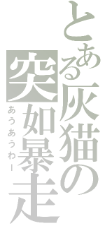 とある灰猫の突如暴走（あうあうわー）