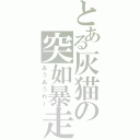 とある灰猫の突如暴走（あうあうわー）