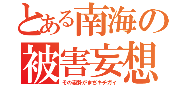 とある南海の被害妄想（その姿勢がまぢキチガイ）