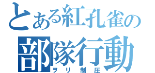 とある紅孔雀の部隊行動（ヲリ制圧）