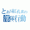 とある紅孔雀の部隊行動（ヲリ制圧）