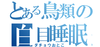 とある鳥類の白目睡眠（ダチョウおとこ）