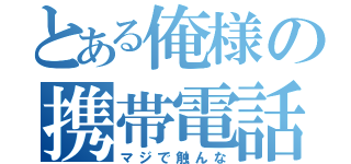 とある俺様の携帯電話（マジで触んな）