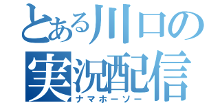 とある川口の実況配信（ナマホーソー）