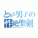 とある男子の性絶聖剣（エクスカリバー）