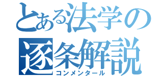 とある法学の逐条解説（コンメンタール）