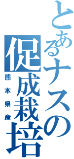 とあるナスの促成栽培（熊本県産）