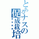 とあるナスの促成栽培（熊本県産）