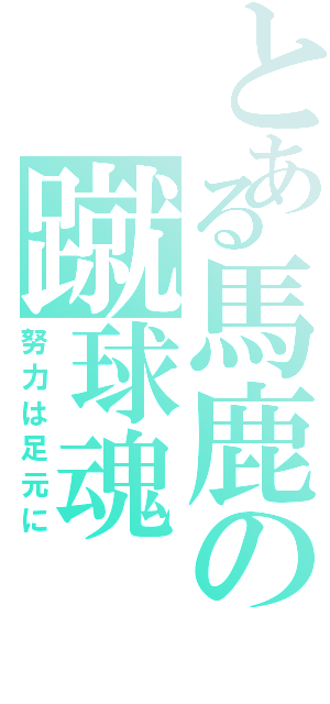 とある馬鹿の蹴球魂（努力は足元に）