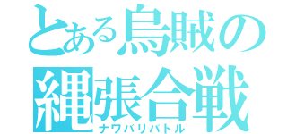 とある烏賊の縄張合戦（ナワバリバトル）