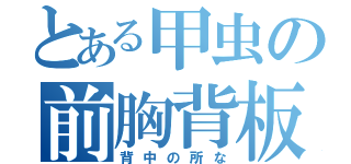 とある甲虫の前胸背板（背中の所な）