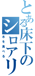 とある床下のシロアリ達（木を食べる）