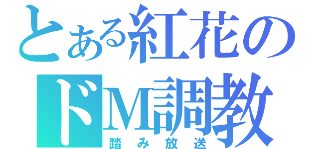 とある紅花のドＭ調教（踏み放送）