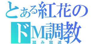 とある紅花のドＭ調教（踏み放送）