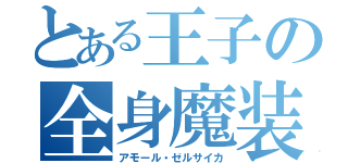 とある王子の全身魔装（アモール・ゼルサイカ）