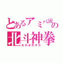 とあるアミバ流の北斗神拳（おれは天才だ）