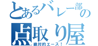 とあるバレー部の点取り屋（絶対的エース！）