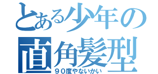 とある少年の直角髪型（９０度やないかい）