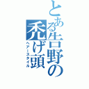 とある告野の禿げ頭（ヘアースタイル）