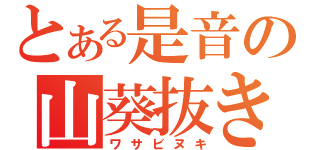 とある是音の山葵抜き（ワサビヌキ）