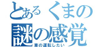 とあるくまの謎の感覚（車の運転したい）