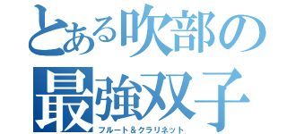 とある吹部の最強双子（フルート＆クラリネット）