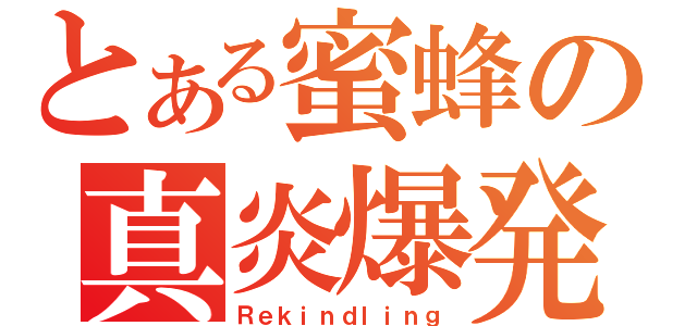 とある蜜蜂の真炎爆発（Ｒｅｋｉｎｄｌｉｎｇ）