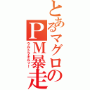 とあるマグロのＰＭ暴走（ウルトラキルッ！）