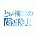 とある柳〇の歯垢除去（デンタルケア）