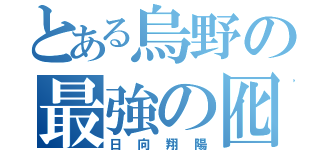 とある烏野の最強の囮（日向翔陽）