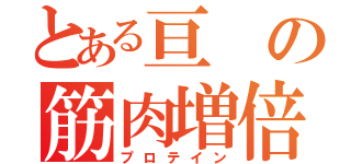 とある亘の筋肉増倍（プロテイン）