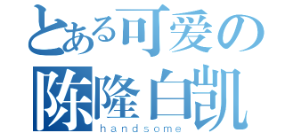 とある可爱の陈隆白凯（ｈａｎｄｓｏｍｅ）