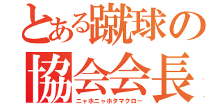 とある蹴球の協会会長（ニャホニャホタマクロー）