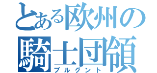 とある欧州の騎士団領（ブルグント）