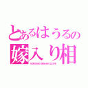 とあるはうるの嫁入り相手（ＫＵＲＯＳＡＫＩ＠ＭｅａＢＩＧＬＯＶＥ）