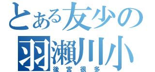 とある友少の羽瀨川小鷹（後宮很多）