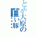 とある大原の白い豚　（岩瀬拓矢）