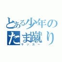 とある少年のたま蹴りゲーム（サッカー）