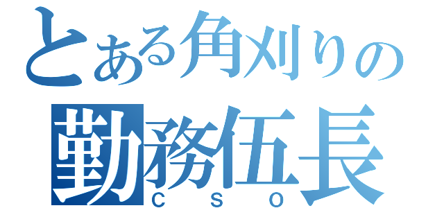 とある角刈りの勤務伍長（ＣＳＯ）